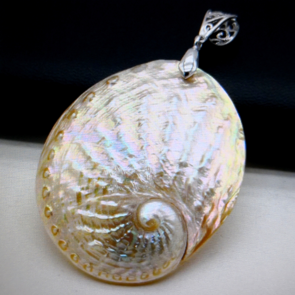 Natural Shell 🐚🌊🐚 Pendant.  silver Gift 🎁